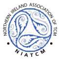 logo transparent